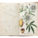 Botanisches Handbuch - фото 4