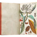 Botanisches Handbuch - фото 7