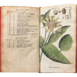 Botanisches Handbuch - фото 9