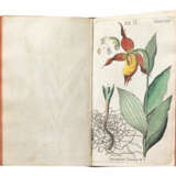 Botanisches Handbuch - фото 10
