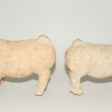 1 Paar Terrakotta-Schweine - photo 5