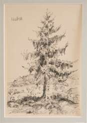 OTTO DIX, "Studie eines Nadelbaums", Federlithographie auf Papier, gerahmt, signiert und datiert