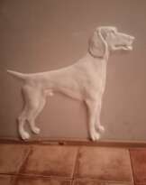 Собака Собака