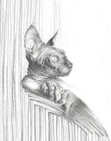 Сфинкс. Графика. 210×297мм. 2019г. Мишарева Наталья.