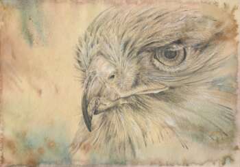 Falcon. Drawing, handwork, 2019 the Author - Natalia Pisareva