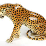 Gepard - photo 1
