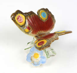 Ens Schmetterling