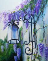 Глициния. Wisteria Глициния. Wisteria