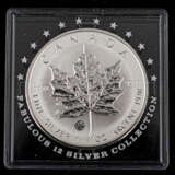 "The Fabulous 12 Silver Collection 2009" - - photo 4