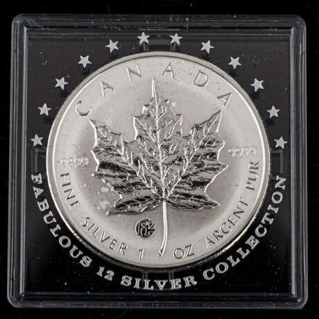 "The Fabulous 12 Silver Collection 2009" - - фото 4