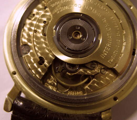 Мужские наручные часы "IWC" с календарем - фото 6