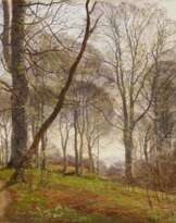 Frühling im Buchenwald