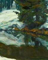 Waldsee im Winter