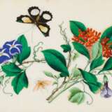 Drei Malereien mit Blumen und Schmetterlingen - фото 2