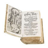Historisches Buch von 1678 von SIMON BORNMEISTER, - фото 1