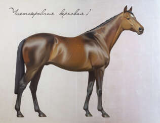Thoroughbred horse 1