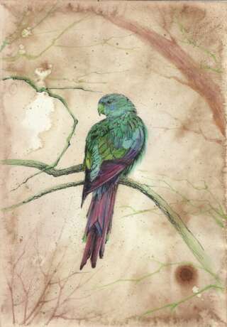 “Parrot. 2020. Handmade. The Author - Natalia Pisareva” Paper Pencil Realist Animalistic 2020 - photo 1