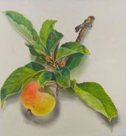 “Branch of Apple” Canvas Oil paint Realist Landscape painting 2020 - photo 1