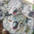Коалы / Koalas - Achat en un clic