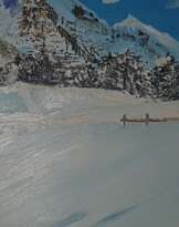 Альпийская метель