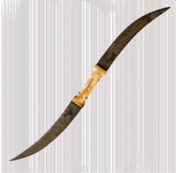 Haladi weapon class Rajput