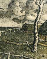 Abenddämmerung im Moor