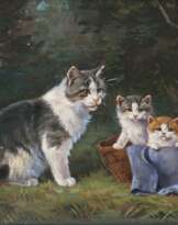 Katzenfamilie