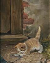 Spielendes Kätzchen