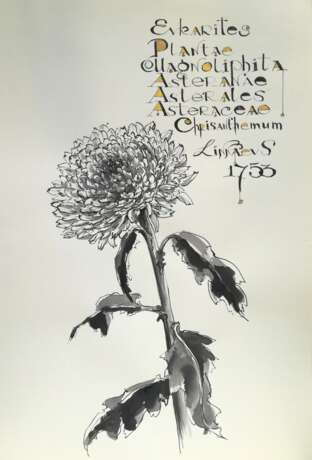 “Chrysanthemum” Paper Ink Realist Still life 2019 - photo 1