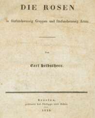 Selbstherr, C. Selbstherr, C.