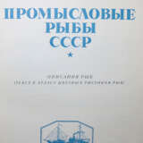 Ministerium für Gewerbliche Fischerei der UdSSR (Herausgabe). - photo 2