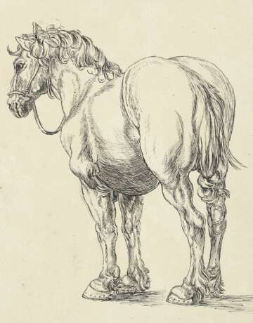 Dürer, Albrecht - Foto 1