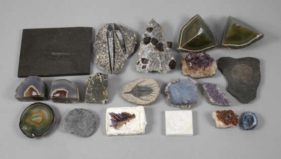 Kleine Mineralien- und Petrefaktensammlung - фото 1