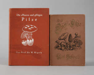 Zwei Pilzbücher