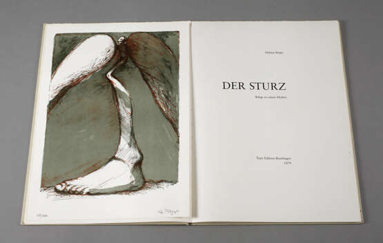 Helmut Rieger, Der Sturz - Foto 1