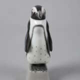 Heubach Lichte Pinguin - Foto 2