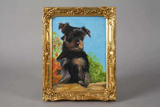 Terrier-Portrait - photo 2