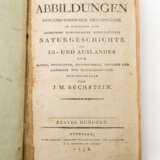 Schrift über Tierkunde, Ende 18. Jahrhundert - J.M. Bechstein (Hrsg.), "Getreue Abbildungen naturhistorischer Gegenstände - Foto 2