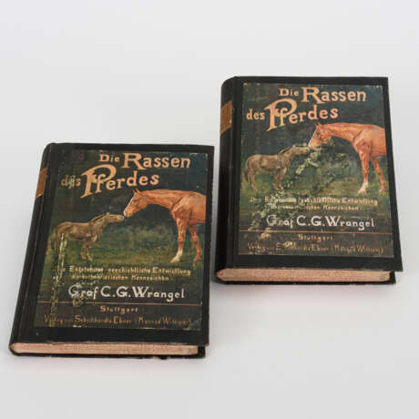 "Die Rassen des Pferdes" 2 Bände - photo 1