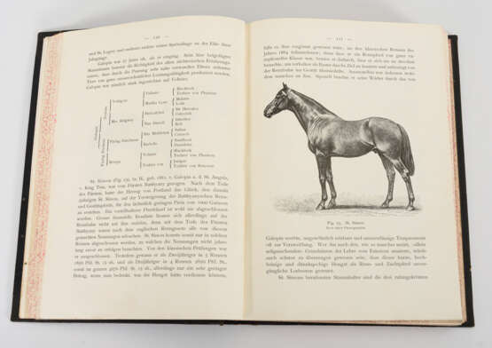 "Die Rassen des Pferdes" 2 Bände - фото 3