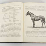 "Die Rassen des Pferdes" 2 Bände - фото 3