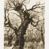 Sehr seltene Grafikmappe "Bäume" - anlässlich des 90. Geburtstages des Künstlers - фото 6