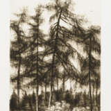 Sehr seltene Grafikmappe "Bäume" - anlässlich des 90. Geburtstages des Künstlers - фото 7