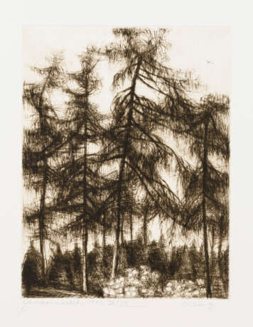 Sehr seltene Grafikmappe "Bäume" - anlässlich des 90. Geburtstages des Künstlers - Foto 7