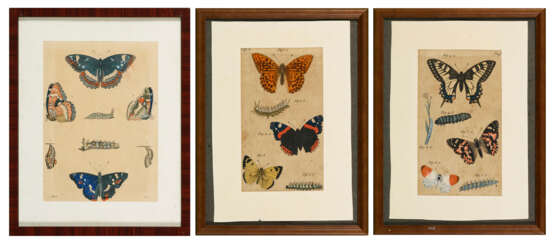 3 Studien mit Schmetterlingen - Foto 1