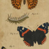 3 Studien mit Schmetterlingen - фото 3