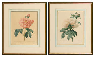 2 Blumentafeln "Paeonia" und "La Duchesse d´Orleans"