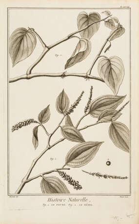 6 Blätter aus Histoire Naturelle - фото 1