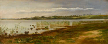 Weite Landschaft mit Seeufer