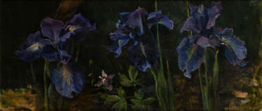 Blauviolette Lilien